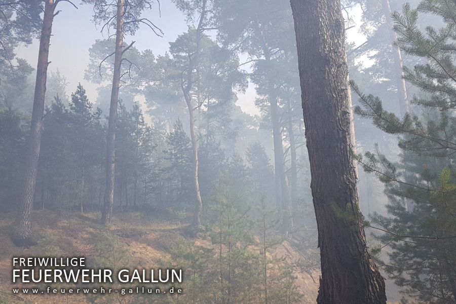 2018 - Waldbrand in der Lieberoser Heide